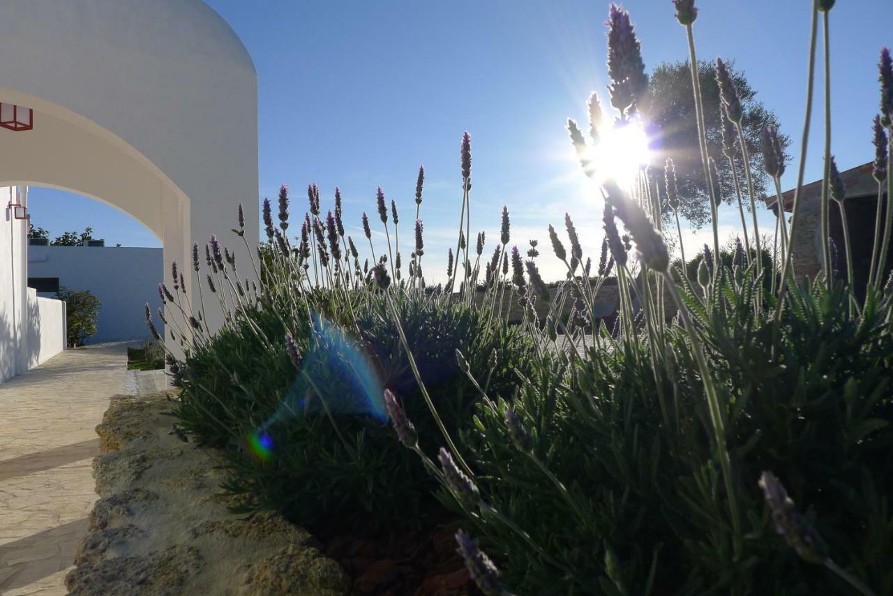 Finca Du Ressourcement Higueron Appartement Vejer de la Frontera Buitenkant foto